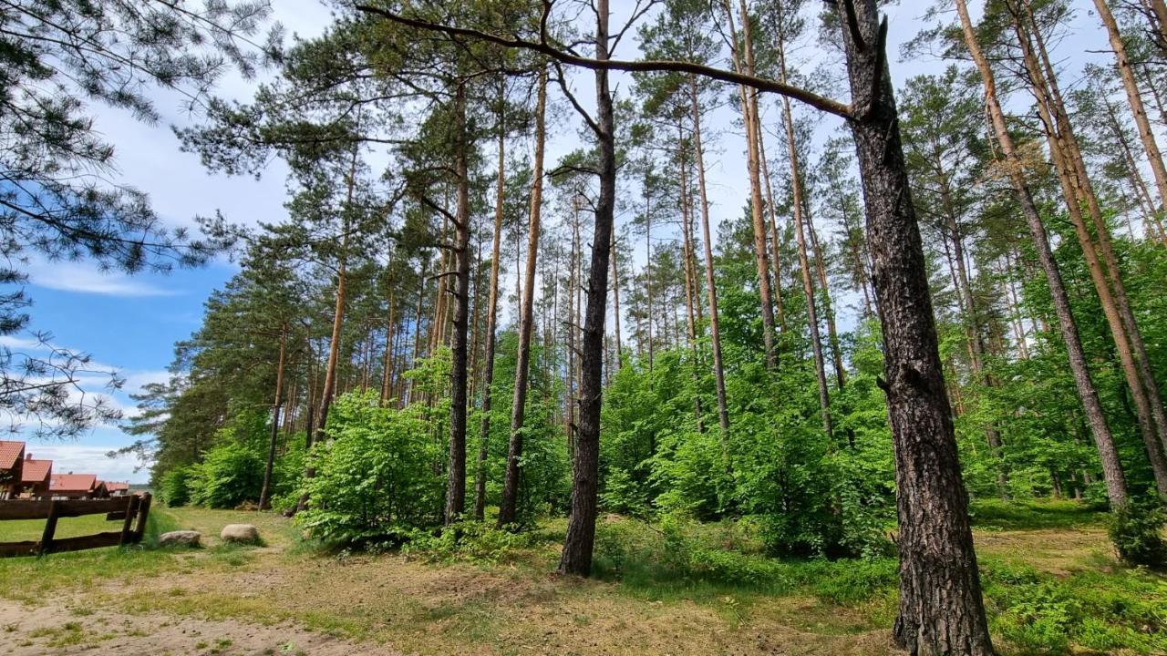 Ptasie Radio, Domek 48.2 Ostoja Bukowo Borowy Mlyn Exterior foto